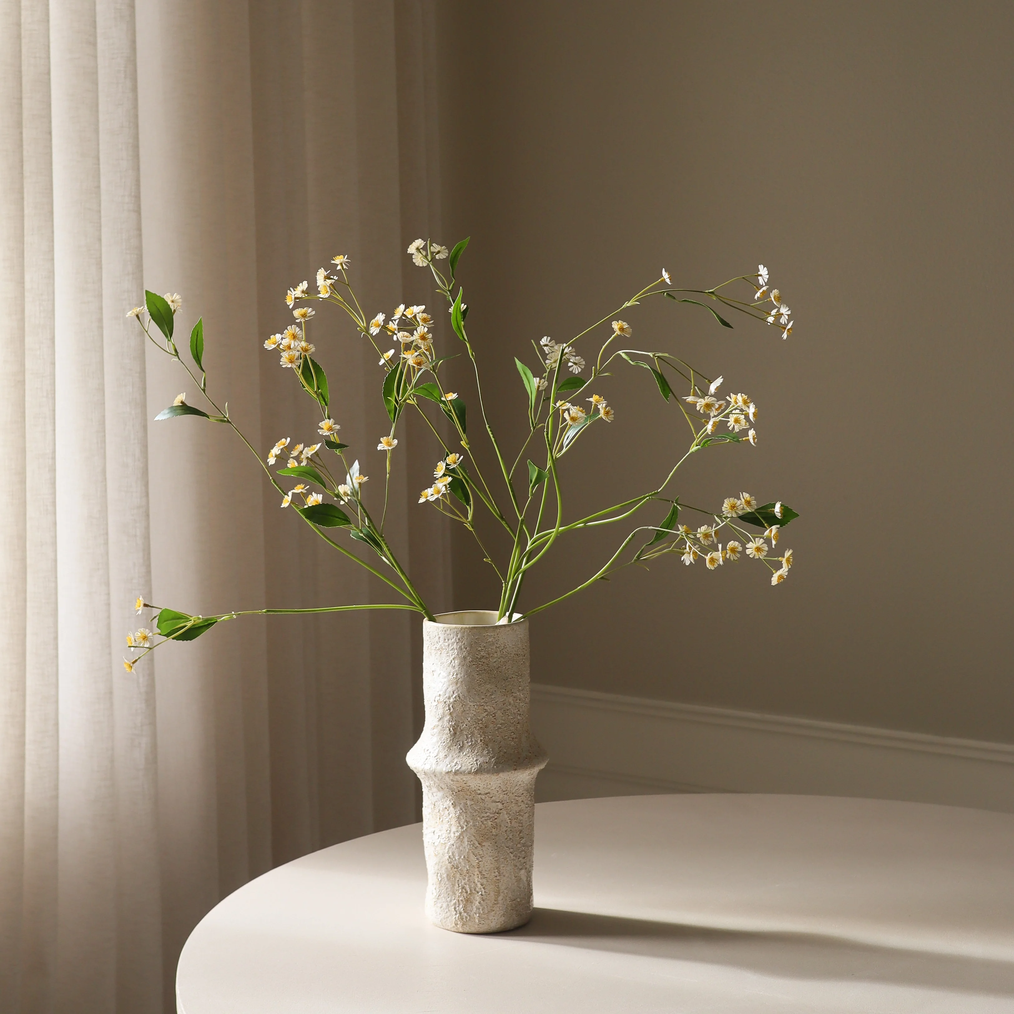 White Chamomile Daisy Flowers - Image 3